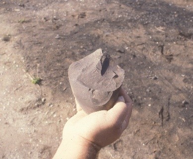 North County Beaches core tool